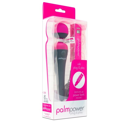 Palm Power Plug & Play