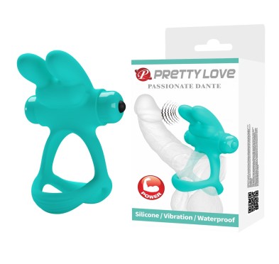 PRETTY LOVE - PASSIONATE DANTE, 10 vibration functions