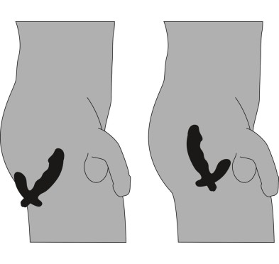 Męski wibrator analny do stymulacji prostaty 15cm