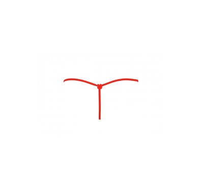Sydney XXL+ (halka&stringi/chemise&string)