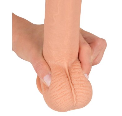 Prawdziwy penis żyły jądra główka naturlany 21cm