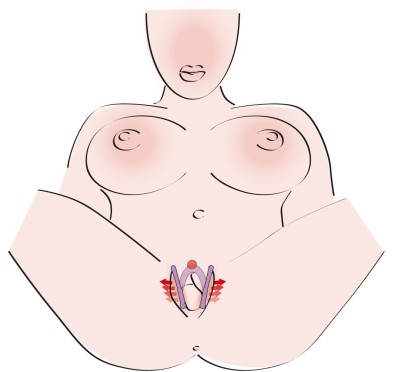Intimate Spreader Li