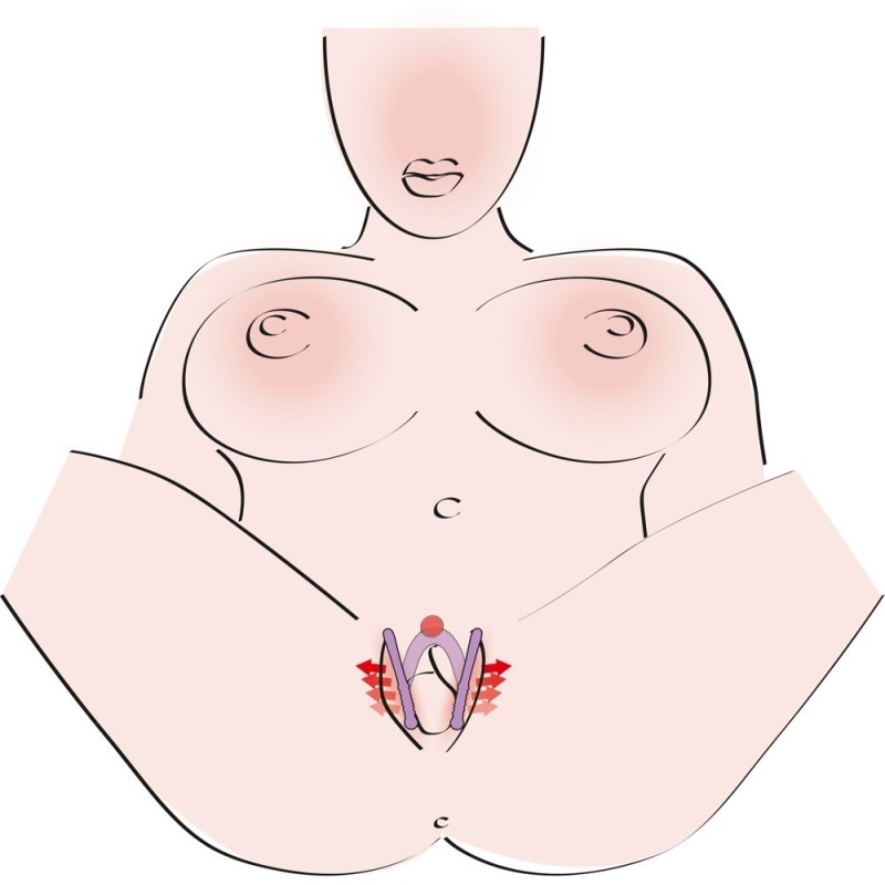 Intimate Spreader Li