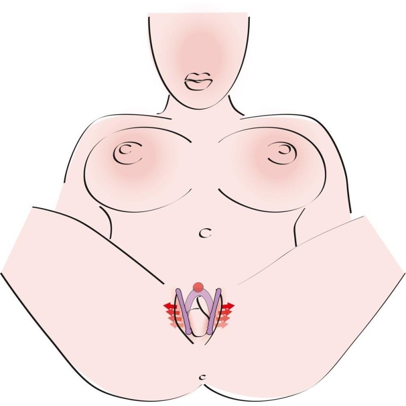 Intimate Spreader Li