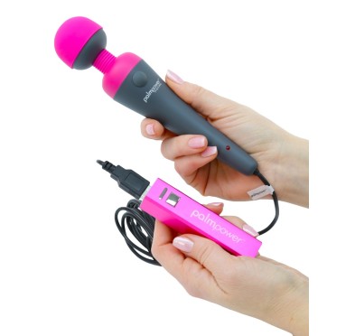 Palm Power Plug & Play