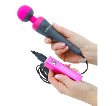 Palm Power Plug & Play