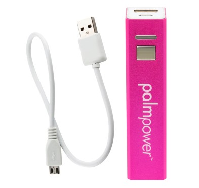 Palm Power Plug & Play