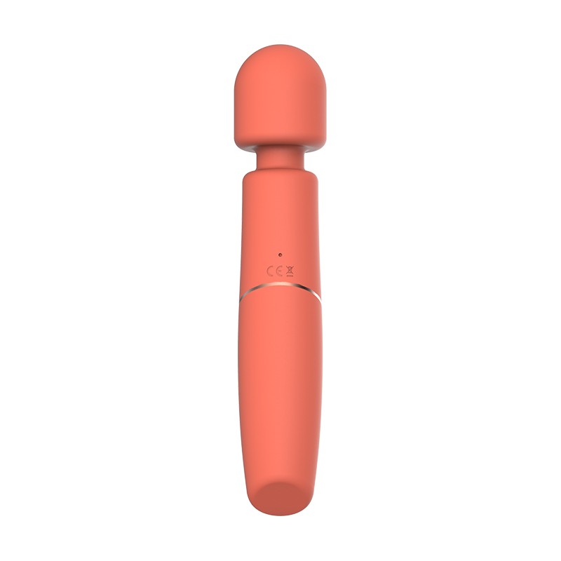 CHARISMATIC CLARISSA