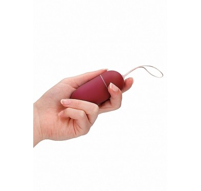 10 Speed Remote Vibrating Egg - Big - Red