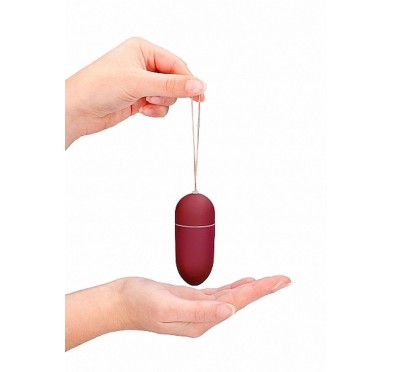 10 Speed Remote Vibrating Egg - Big - Red