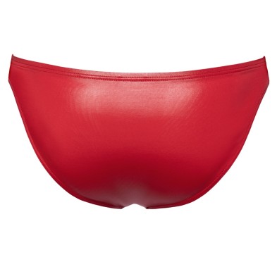 Men's Briefs L