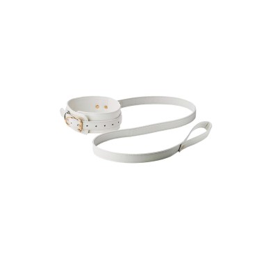 BLAZE ELITE COLLAR AND LEASH WHITE